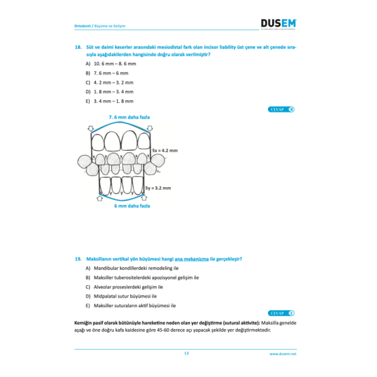 Dus Ortodonti Çalışma Soruları