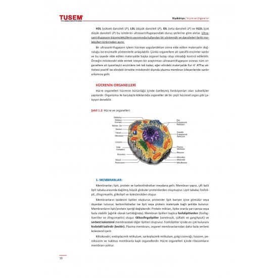 TUS Konu Kitabı Biyokimya