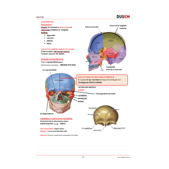 DUS Anatomi Konu Kitabı