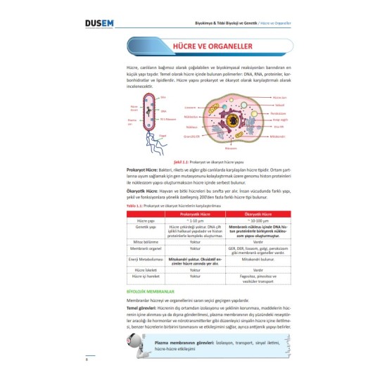 DUS Biyokimya Konu Kitabı