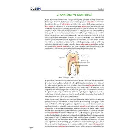 DUS Endodonti Konu Kitabı