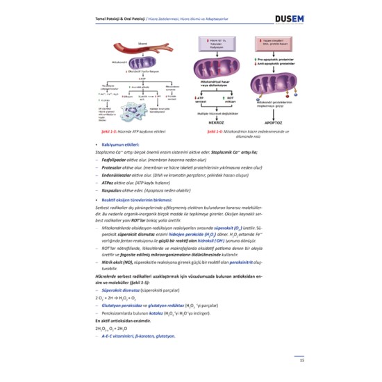 DUS Patoloji ve Oral Patoloji Konu Kitabı