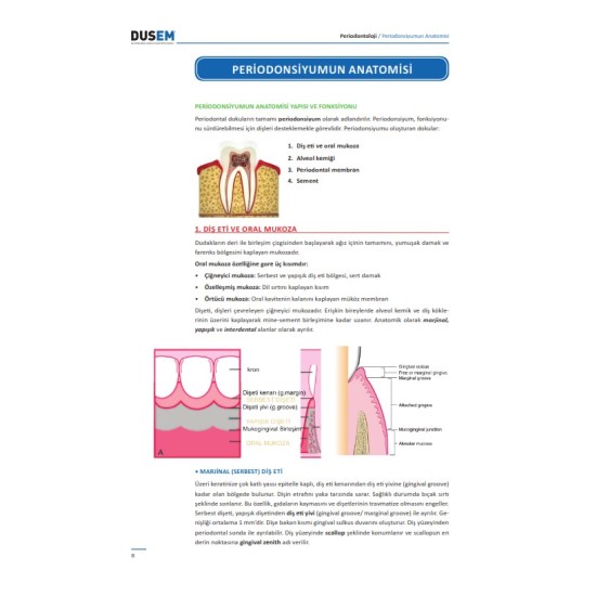 DUS Periodontoloji Konu Kitabı