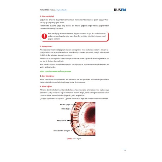 DUS Restoratif Diş Tedavisi Konu Kitabı