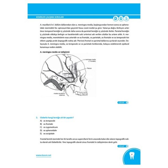 DUS Anatomi Çalışma Soruları