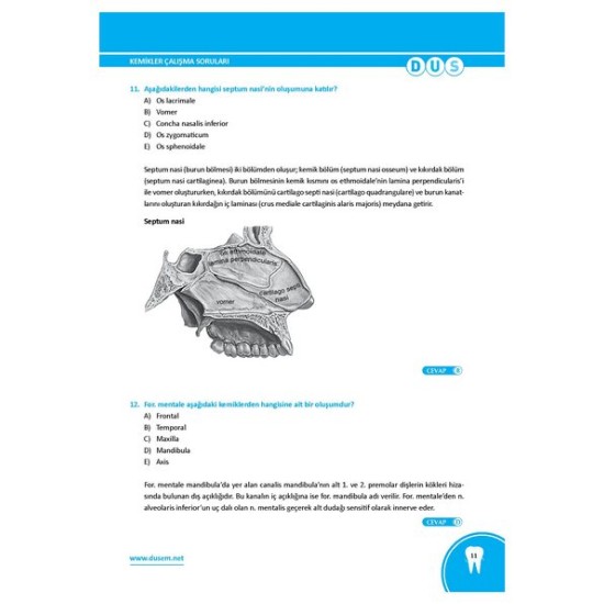 DUS Anatomi Çalışma Soruları