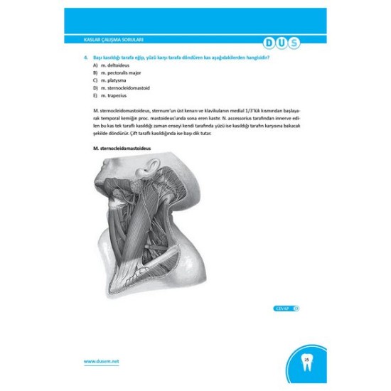 DUS Anatomi Çalışma Soruları