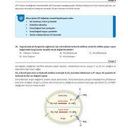 DUS Biyokimya Sorularla Son Tekrar