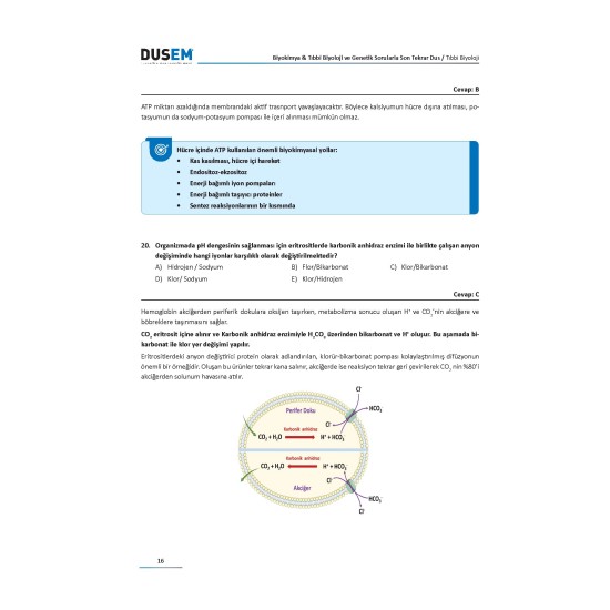 DUS Biyokimya Sorularla Son Tekrar