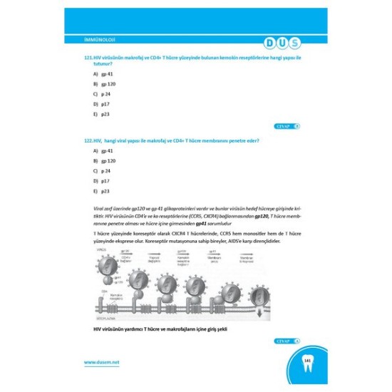Dus Temel ve Oral Patoloji Çalışma Soruları