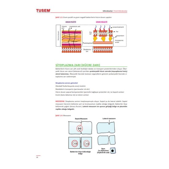 TUS Konu Kitabı Mikrobiyoloji