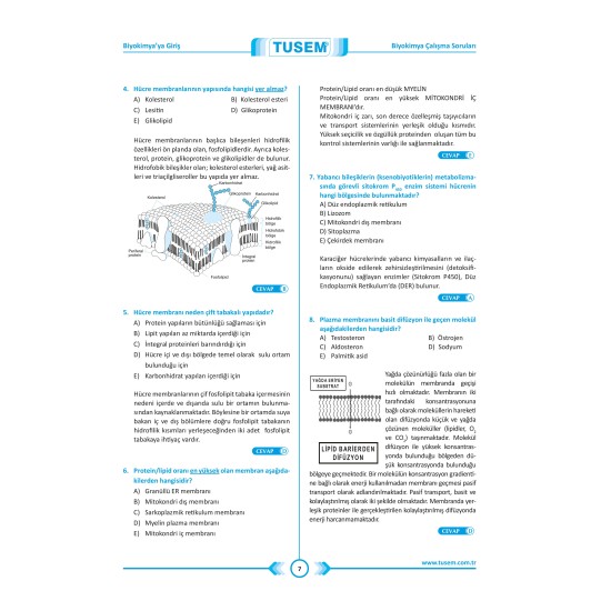 Biyokimya Tus Soru Kitabı